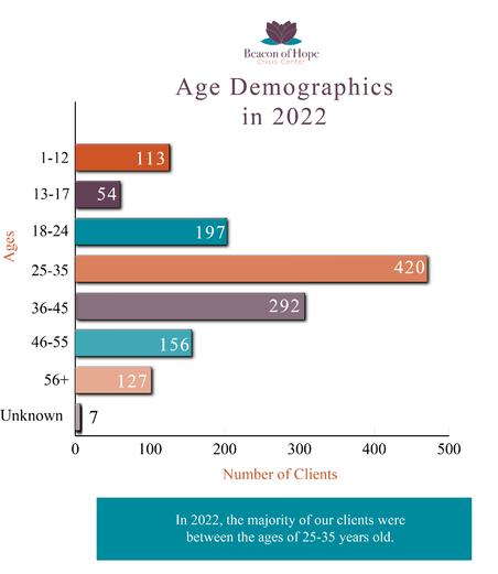 Age Demographics in 2022