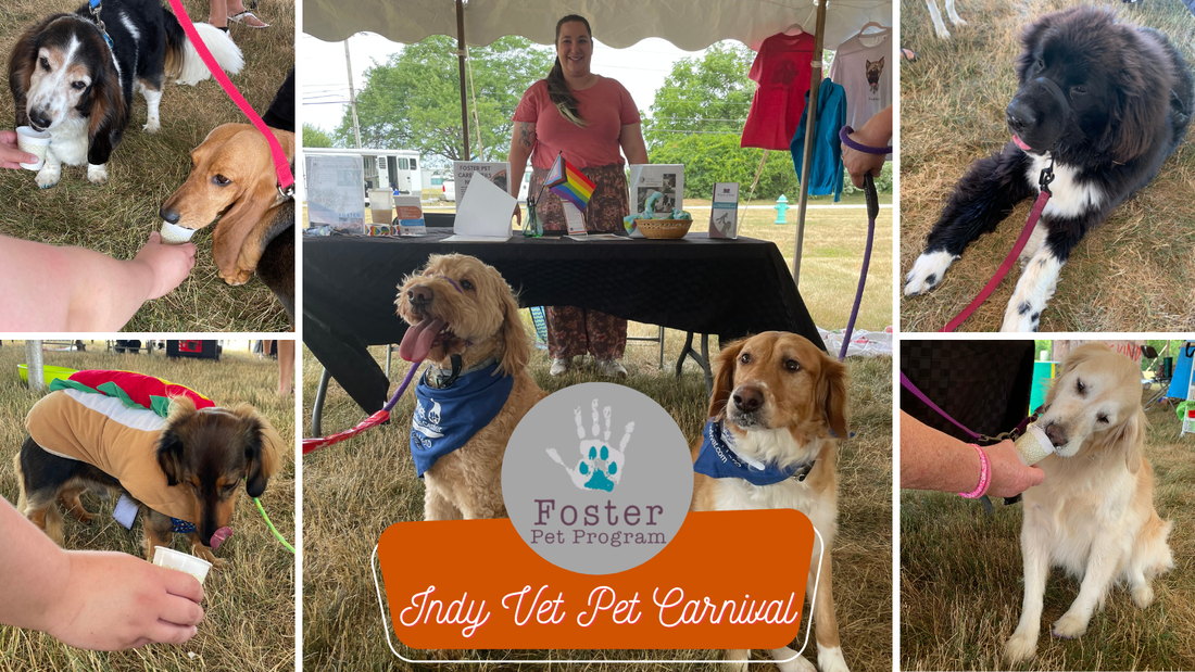 Indy Vet Pet Carnival Photo Collage