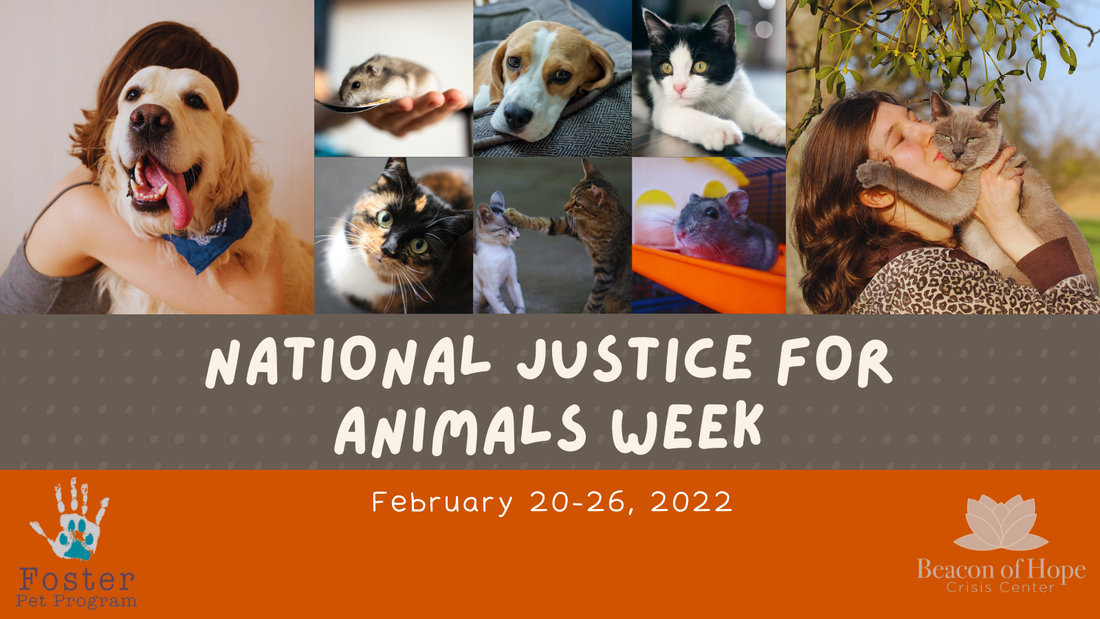 National Justive For Animals Week February 20-26, 2022