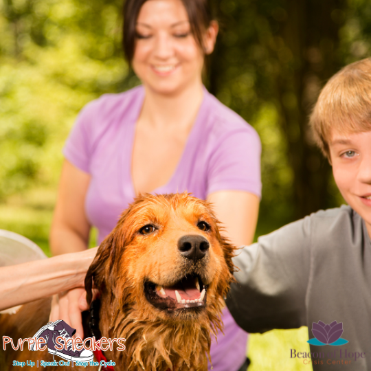 people washing a golden retriever 