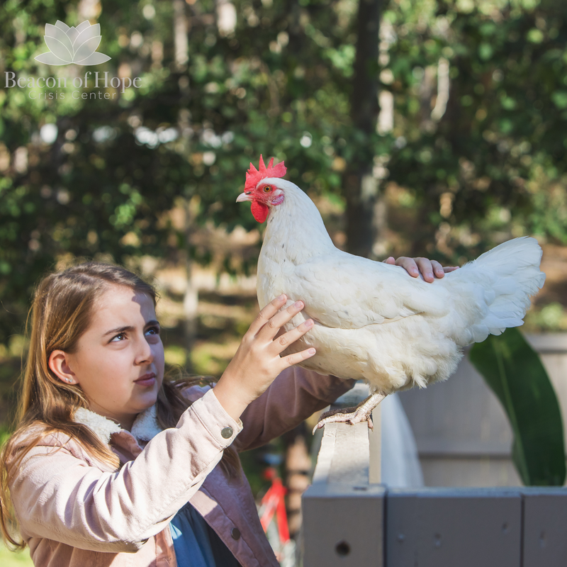 Preteen girl with her chicken