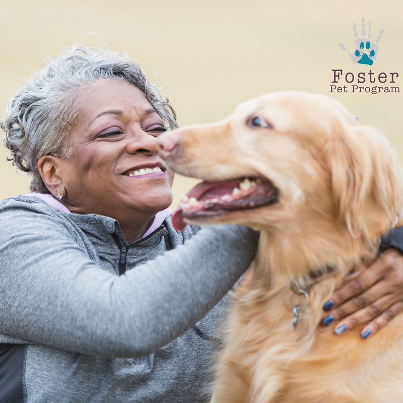 Woman petting a large dog