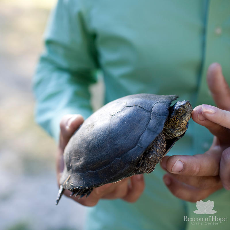 Man holding a turtle