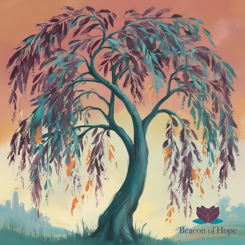 Picture of a strong willow tree.